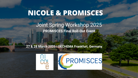 PROMISCES Review Meeting Card 1 Webinar